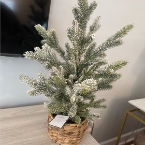 Frosted Holiday Tree in Woven Basket